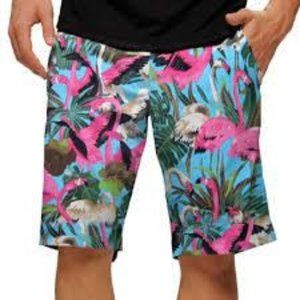 Loudmouth Flamingo Golf Shorts Mens Golf
